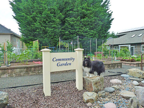 Community Garden sign with dog standing on a rock
