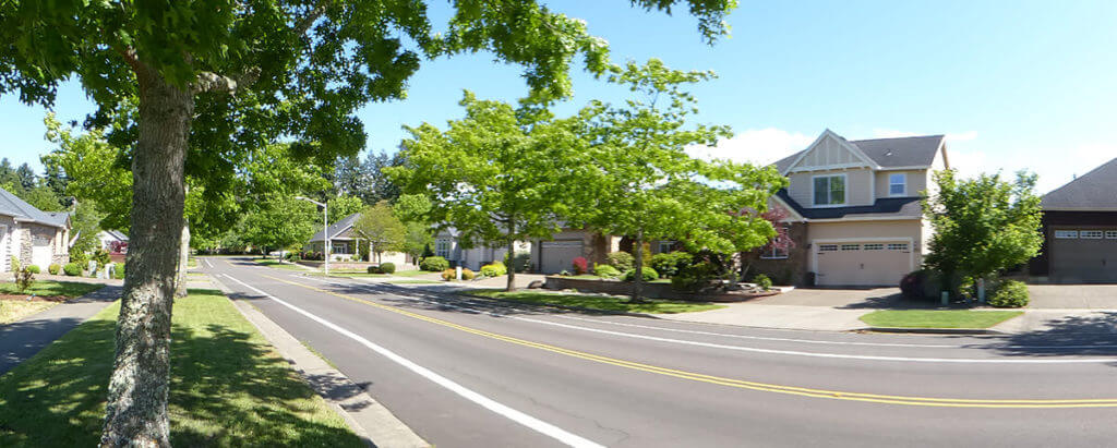 Tree lined street